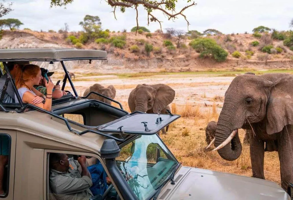 9-Day-Kenya-Safari-Adventure
