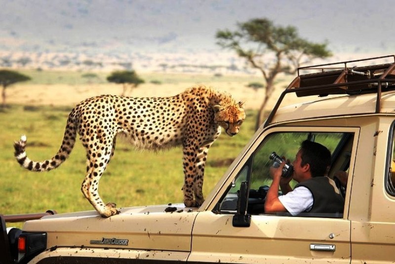 wild-race-africa-safari-tours